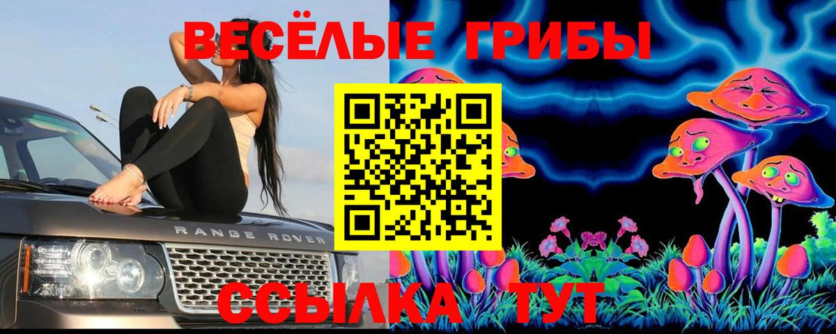Псилоцибиновые грибы GOLDEN TEACHER Ростов-на-Дону